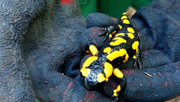 FOTO czwartek - zdjęcia tygodnia 